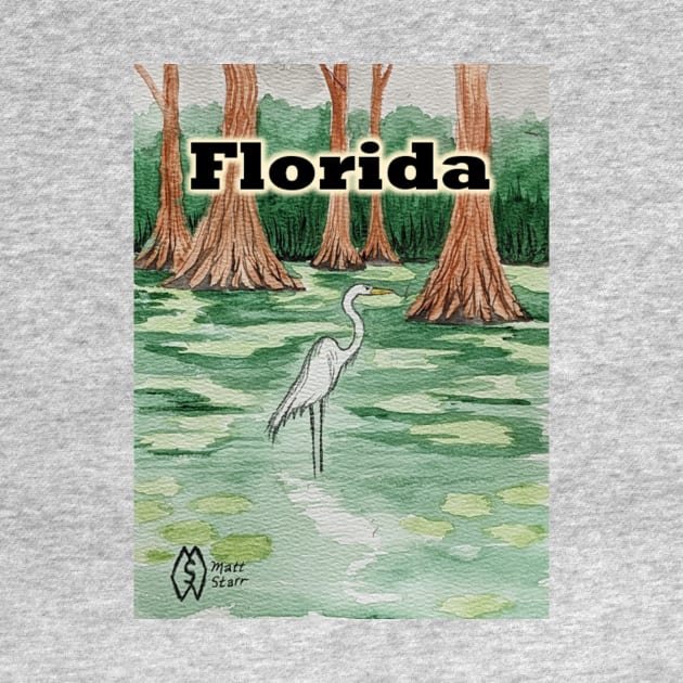 Florida swamp by Matt Starr Fine Art